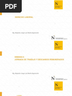 Sem 6 - Lab - Jornada de Trabajo y Descansos Remunerados