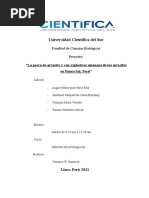 Punta Sal Avance Proyecto de Investigación - s5