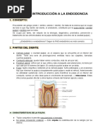 Introducción A La Endodoncia