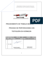 Procedimiento Trabajo Seguro