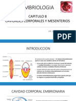 Capitulo 8 - Cavidades Corporales - Mesenterios y Diafragma