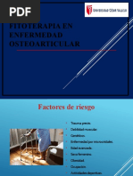 Fitoterapia Articulares 2