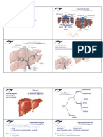 7.8 Tumorile Hepatice