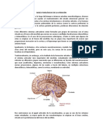 Bases Fisiológicas de La Atención