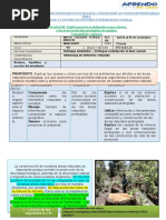 IV BIM SEM 35 - EXP 9 Activ 4 Problemáticas Que Afectan