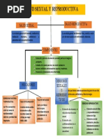 Salud Sexual 3