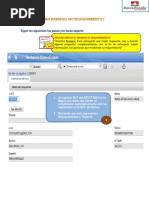 Paso A Paso Ingreso Requerimiento