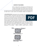 Gene Transfer