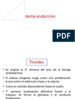 Sistema Endocrino2021