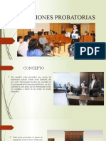 Convenciones Probatorias