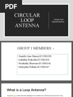 Circular Loop Antenna