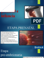 Etapa Prenatal e Infancia - Psicologia - Jharol Palacios Capucho