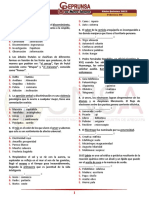 02 Raz Ver. Práctica 06 Ceprunsa 2022 Quintos