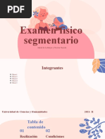 Examen Físico Segmentario