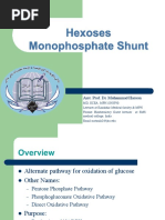 Hexoses Monophosphate Shunt