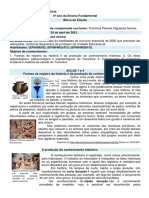 6º Ano - Bloco de Estudo - AMA - História - Ref - Abril