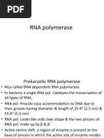 RNA Polymerase