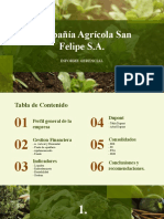 Informe Gerencial SAN FELIPE