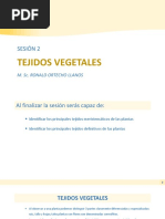 Sesión 2 Tejidos Vegetales