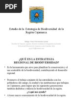 Clase 5. Estudio de La Estrategia de Biodiversidad en Cajamarca