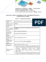 Protocolo para El Desarrollo Del Componente Práctico - ALTERNO