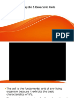 Chapter 2: Prokaryotic & Eukaryotic Cells