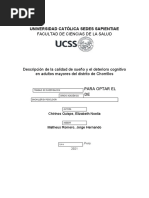 Informe de Trabajo de Investigación - Chirinos Quispe, Elizabeth Noelia