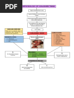 Pathophysiology of Conjoined Twins