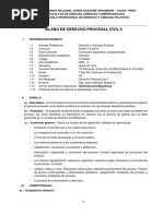 Unjbg - Silabo Virtual. Derecho Procesal Civil Ii PDF