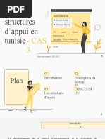 Projet Sur Les Structures D'appui en Tunisie