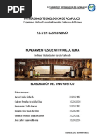 Elaboracion Del Vino