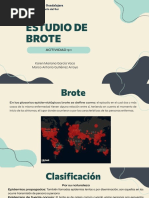 9.1 Estudio de Brote