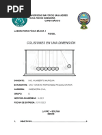 Mamani Fernandez Raquel Marina - Colisiones en Una Dimension-1