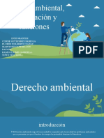 Expo Derecho Ambiental 1