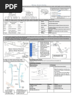 Srsrmer : Biology - Nervous System