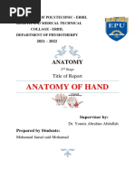 Report Anatomy of Hand