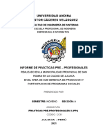 Informe PPP Ii - Uancv