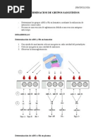 Determinacion de Grupos Sanguineos
