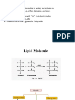 Feed Additives