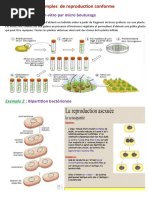 Exemples de Reproduction Conforme 3ème Math