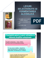 Levuri Selecționate Și Fermentarea Alcoolică