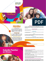 FR Brochure Comercial 2020 Derecho