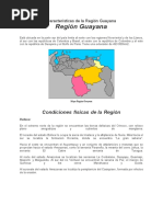 Características de La Región Guayana