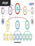 Plantilla Mapa Conceptual 15