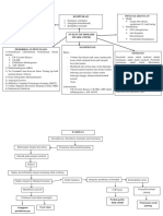 LP Stemi - Mapping