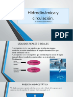 Hidrodinamica y Circulacion GFGP