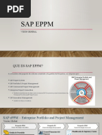 SAP ePPM - Vision General