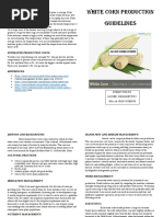 White Corn Production Guidelines: Drying and Storage