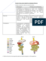 Taller Digestion Nutricion b2021