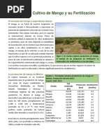 El Cultivo de Mango y Su Fertilizacion